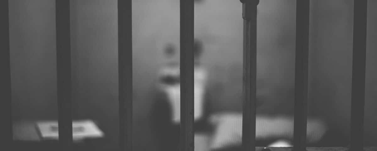 abogado pornografia infantil